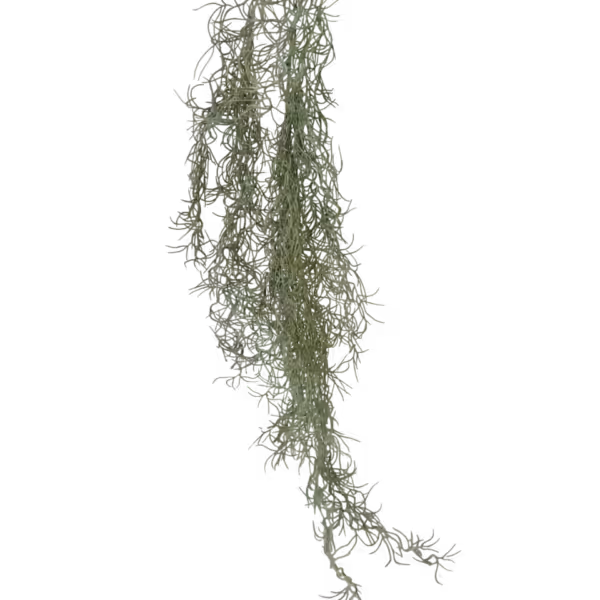 Carter Hanging Spanish Moss