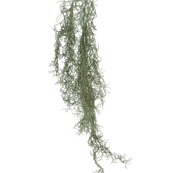 Carter Hanging Spanish Moss