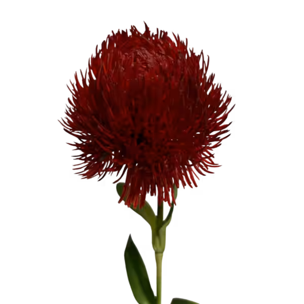 Red Fiona Real Touch Dianthus Stem