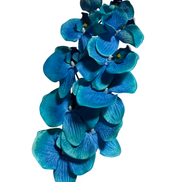 Blue Jenny 10-Head Silk Orchid