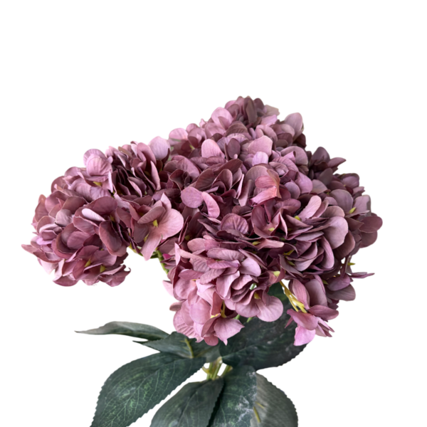 Dark Purple Lyla 5-Head Hydrangea Bunch