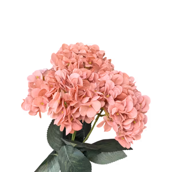 Dusty Pink Lyla 5-Head Hydrangea Bunch