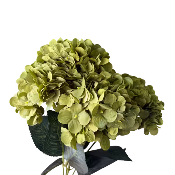 Green Lyla 5-Head Hydrangea Bunch