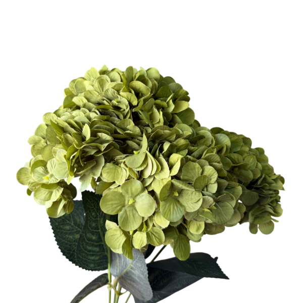 Green Lyla 5-Head Hydrangea Bunch