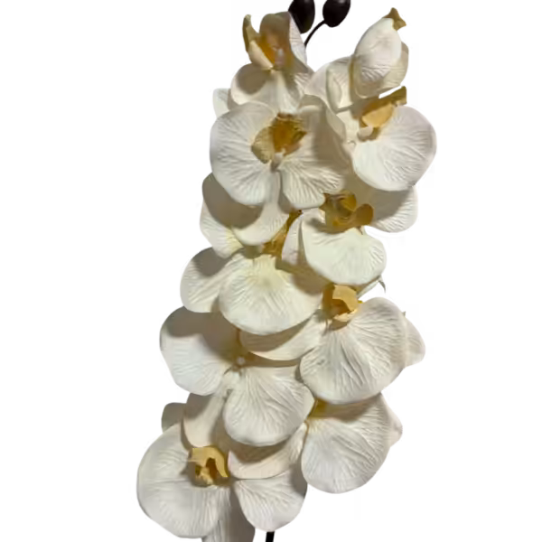 Ivory Jenny 10-Head Silk Orchid