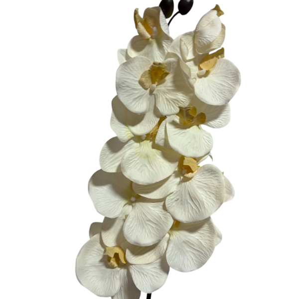 Ivory Jenny 10-Head Silk Orchid