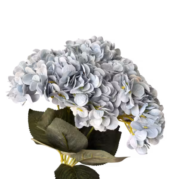 Light Blue Lyla 5-Head Hydrangea Bunch