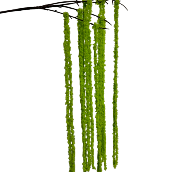 Lime Green Kora Yarn Amaranthus