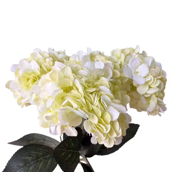 Lime Green Lyla 5-Head Hydrangea Bunch