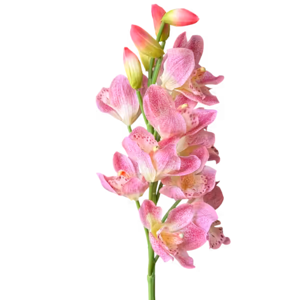Pink Yana Real Touch Gladiolus