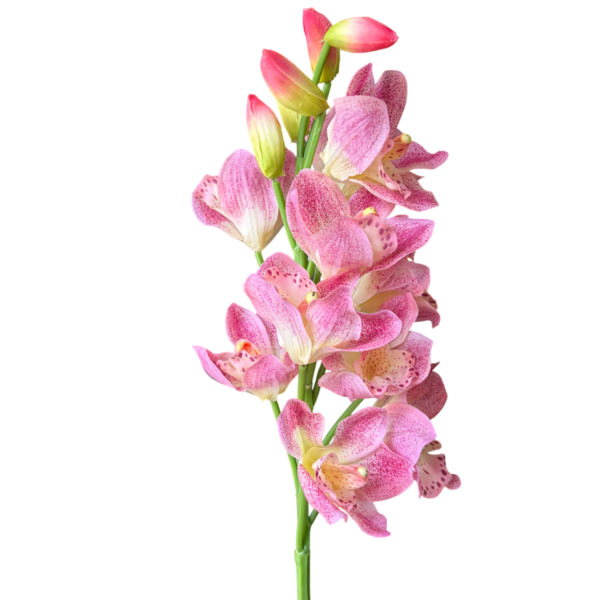Pink Yana Real Touch Gladiolus