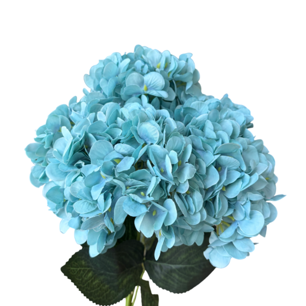 Teal Lyla 5-Head Hydrangea Bunch