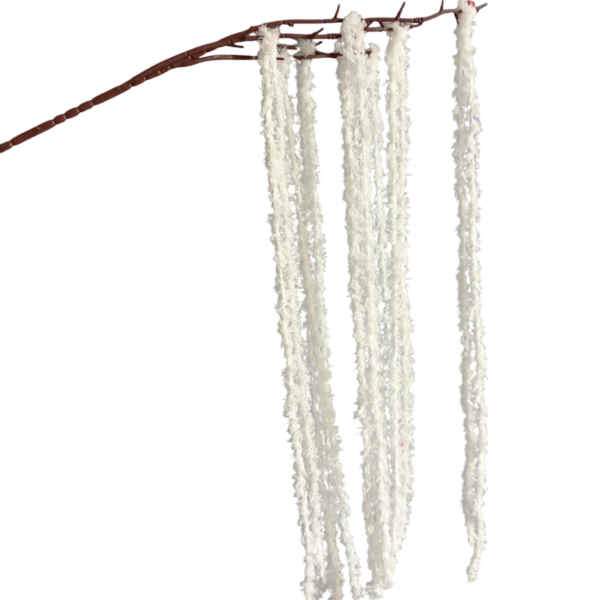 White Kora Amaranthus